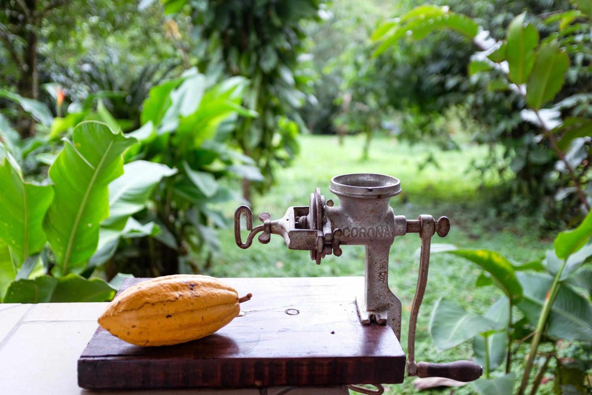 Essence Arenal Spa & Yoga El Castillo Экстерьер фото